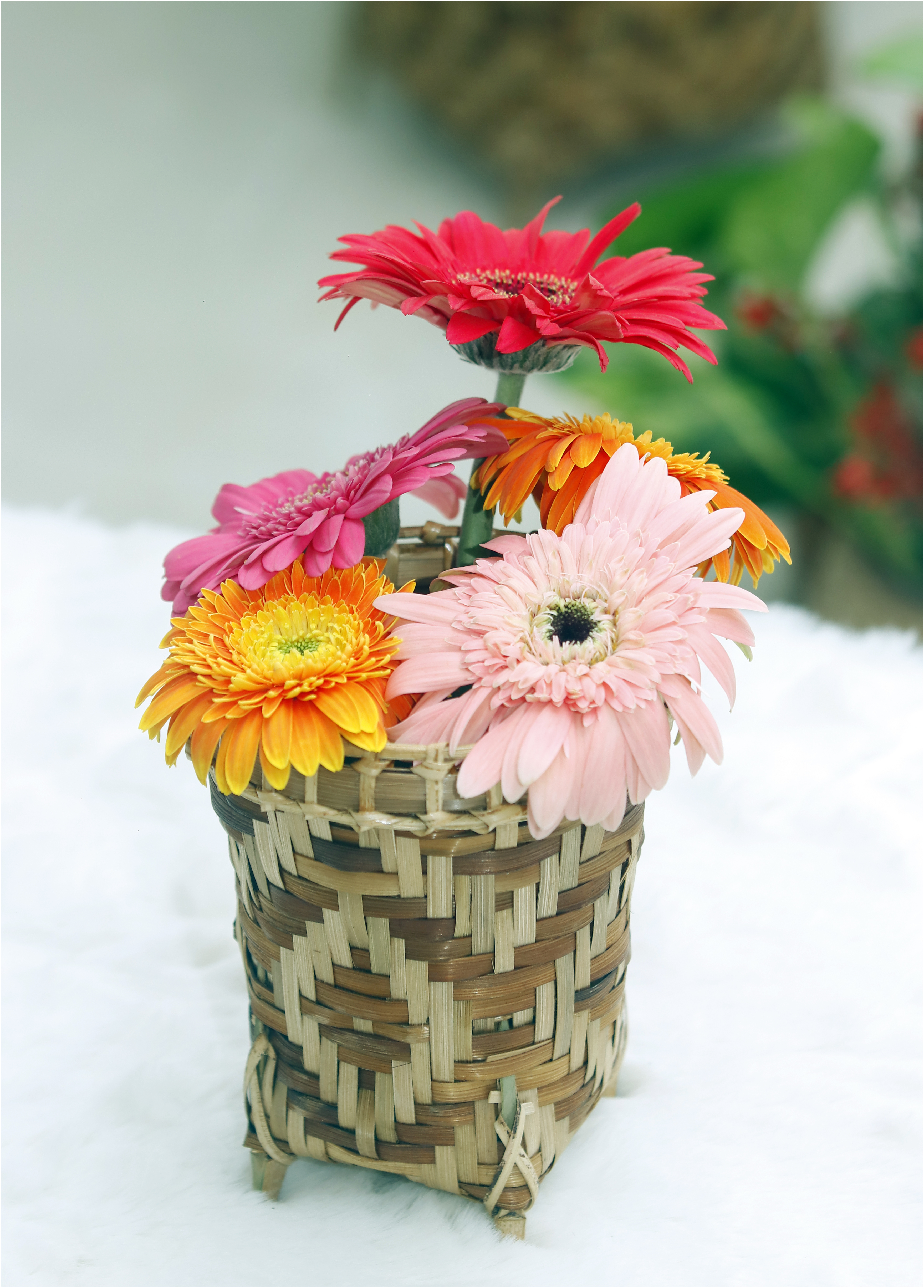 Bamboo Pen Holder - Image 5